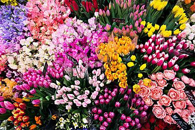 Roguelike闯关冒险游戏《虫虫巴迪》Steam页面 发售日待定