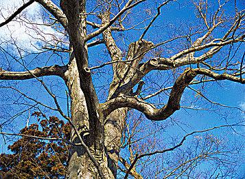 《潜行者2》场景并非程序生成：开发者全手工打造