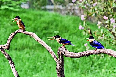 《控制》销量突破450万套 玩家人数破1900万